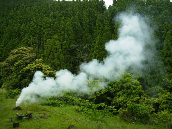 ババグーリ本店: 2011.10.6-10 下本一歩　竹・炭　展